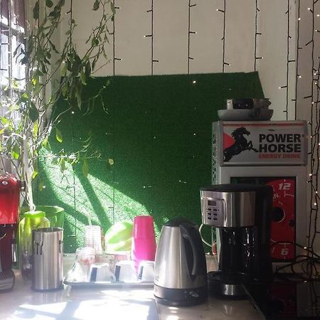 Art Studio Braşov Eksteriør billede